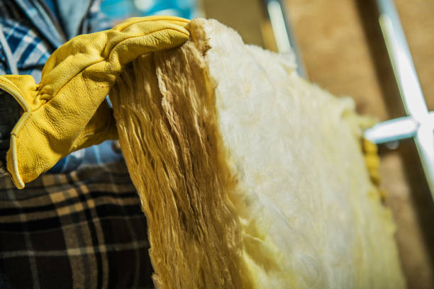 Best Insulation Installation Services in Waconia, MN
